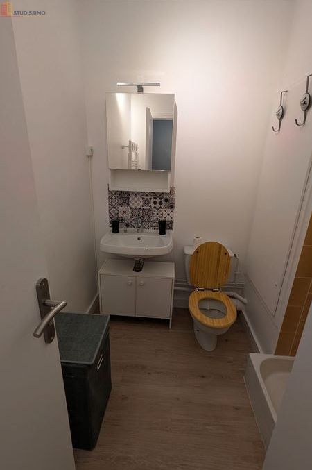 Studio meublé 23m² Vandoeuvre-lès-Nancy - Parking couvert, cave - Photo 12