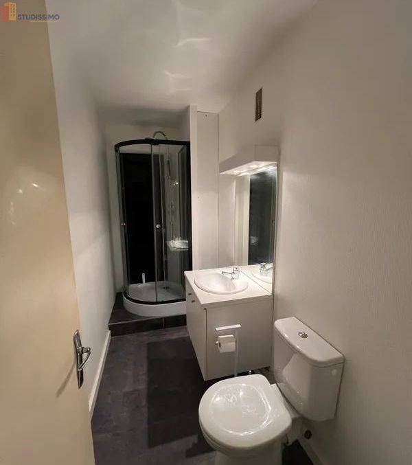 Studio meublé 25m² Nancy - Quartier Saurupt, lumineux - Photo 2