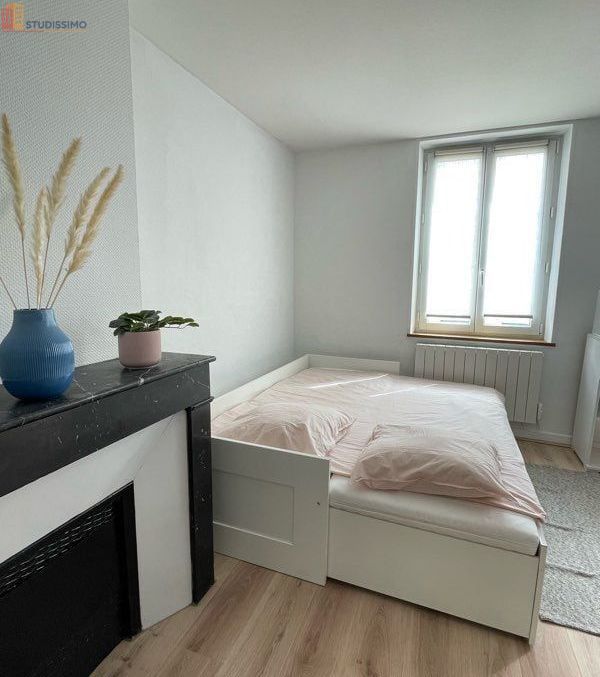 Studio 27m² Nancy centre - Lumineux, meublé - Photo 4