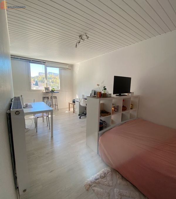 Studio 25m² Nancy centre - Libération/Scarpone/Boudonville - Photo 4