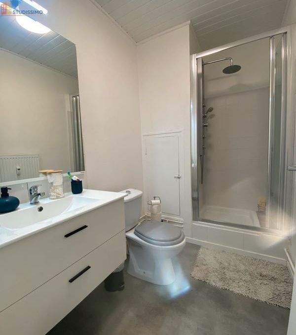 Studio 25m² Nancy centre - Libération/Scarpone/Boudonville - Photo 2