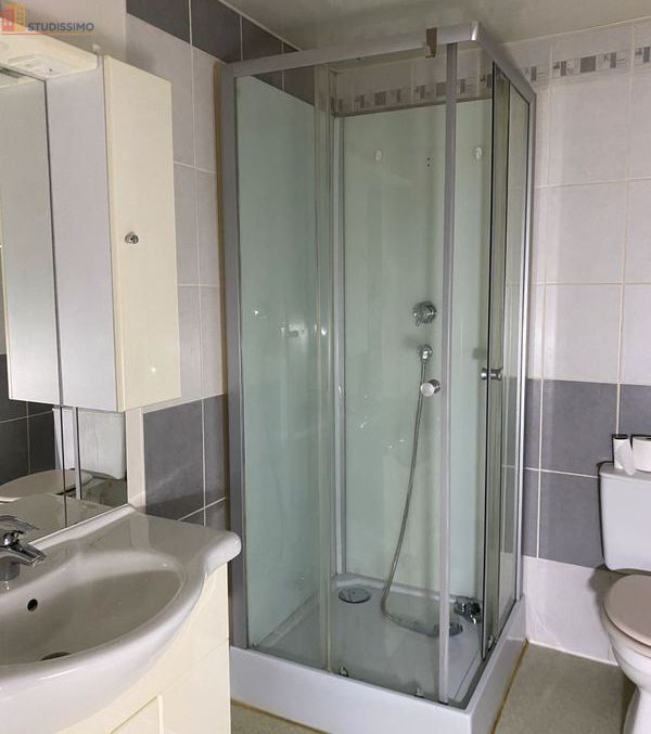 Studio 35m² Vézelise - Centre-ville, calme - Photo 4