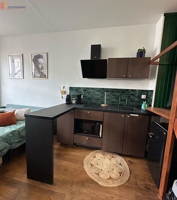 Studio meublé 20m² Nancy 54000 - Garage, lumineux - Photo 5