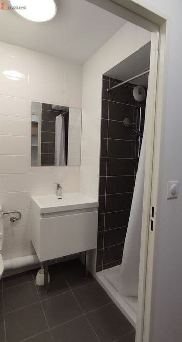 Studio meublé 17m² Nancy 54000 - Meublé, idéal 1-2 personnes - Photo 6