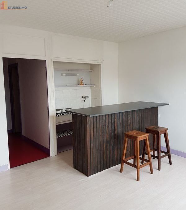 Studio 25m² Saint-Max - Meublé, lumineux - Photo 4