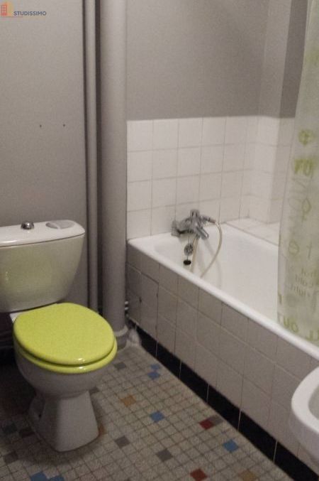 Studio 25m² Saint-Max - Meublé, lumineux - Photo 3