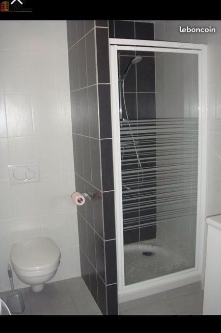 Studio meublé 28m² Nancy 54000 - Meublé, lumineux - Photo 1