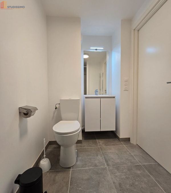 Studio meublé 18m² Nancy centre - Proche fac de lettres - Photo 1