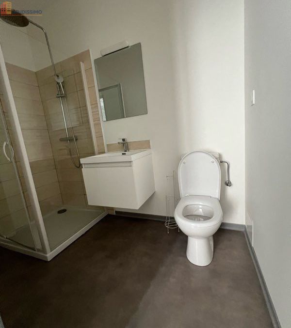 Studio 28m² Nancy centre - Idéal étudiant - Photo 3