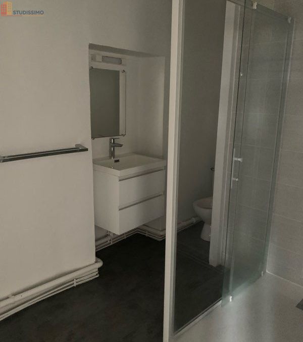 Studio 27m² Maxéville - lumineux - Photo 5