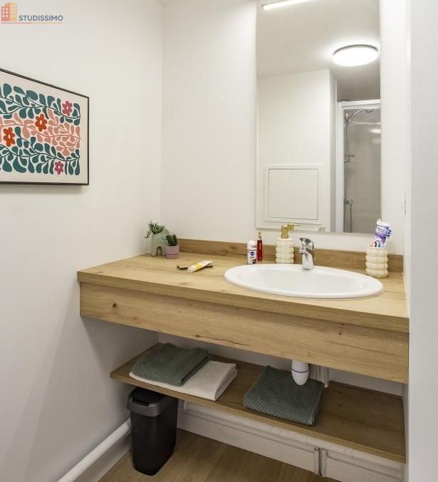Studio 19m² Lorient 56100 - Meublé, lumineux - Photo 3