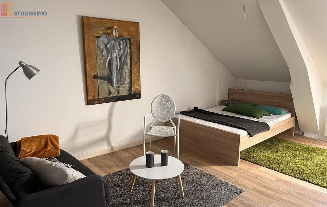 Studio meublé 30m² Vannes - Charmant, dernier étage - Photo 5