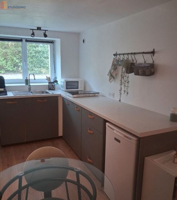 Studio meublé 23m² Ploërmel - Fonctionnel, proche commodités - Photo 5