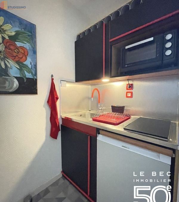 Studio meublé 26m² Vannes - Lumineux, dernier étage - Photo 5