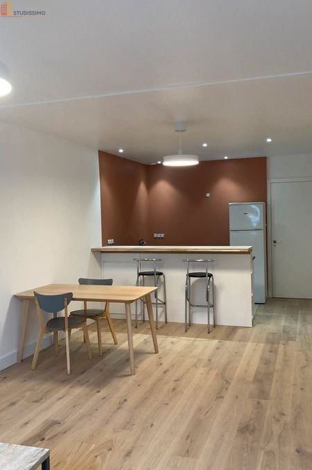 Studio meublé 45m² Vannes - Proche port, lumineux - Photo 3
