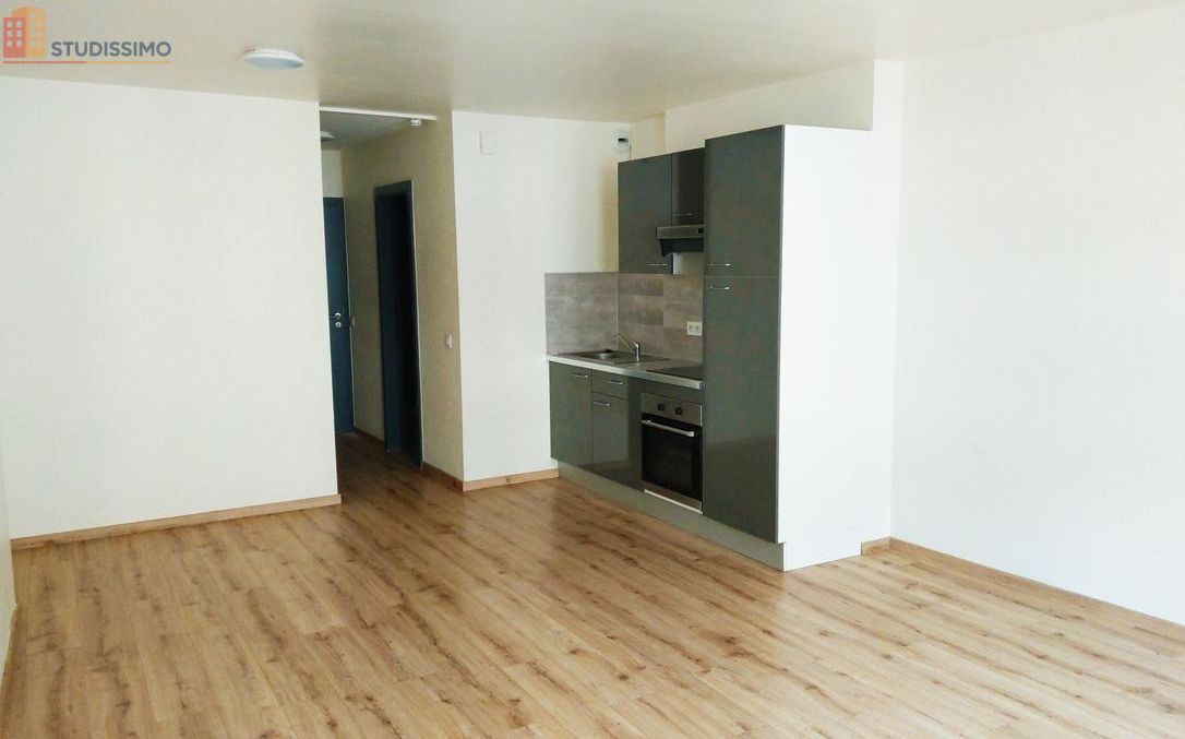 Studio 35m² Sarrebourg centre - Standing, lumineux - Photo 3