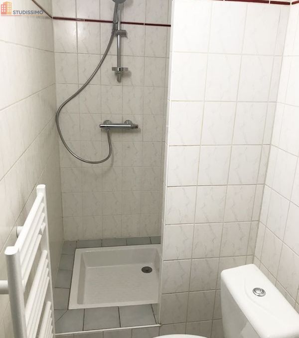 Studio 35m² Sarrebourg centre - Standing, lumineux - Photo 2