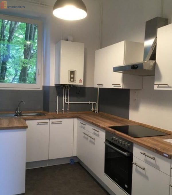 Studio à Sarreguemines