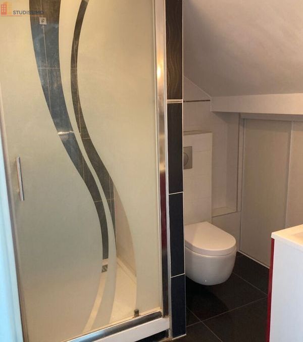 Studio 18m² Montigny-lès-Metz - 2e étage, DPE D - Photo 6