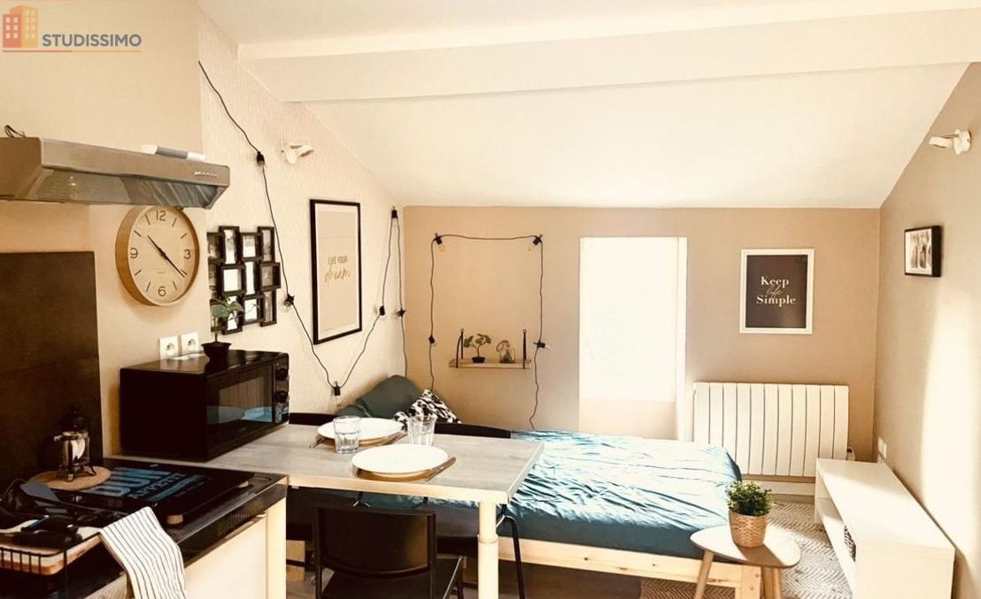 Studio 17m² Thionville - Dernier étage, lumineux - Photo 5