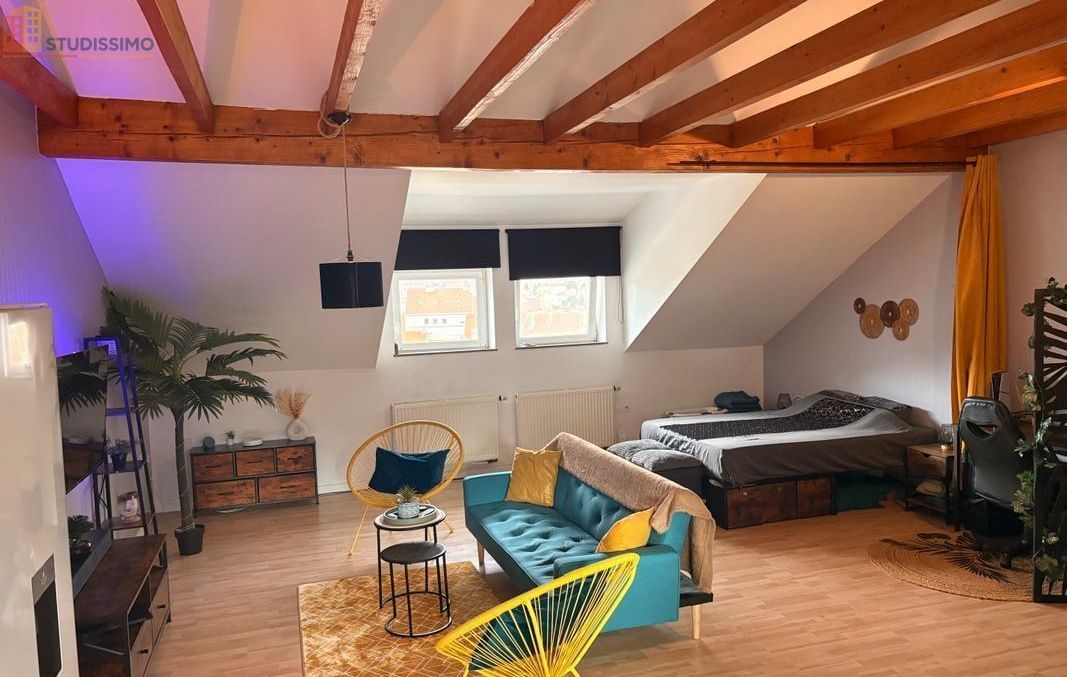 Studio 45m² Forbach - Lumineux, charme et volumes - Photo 3