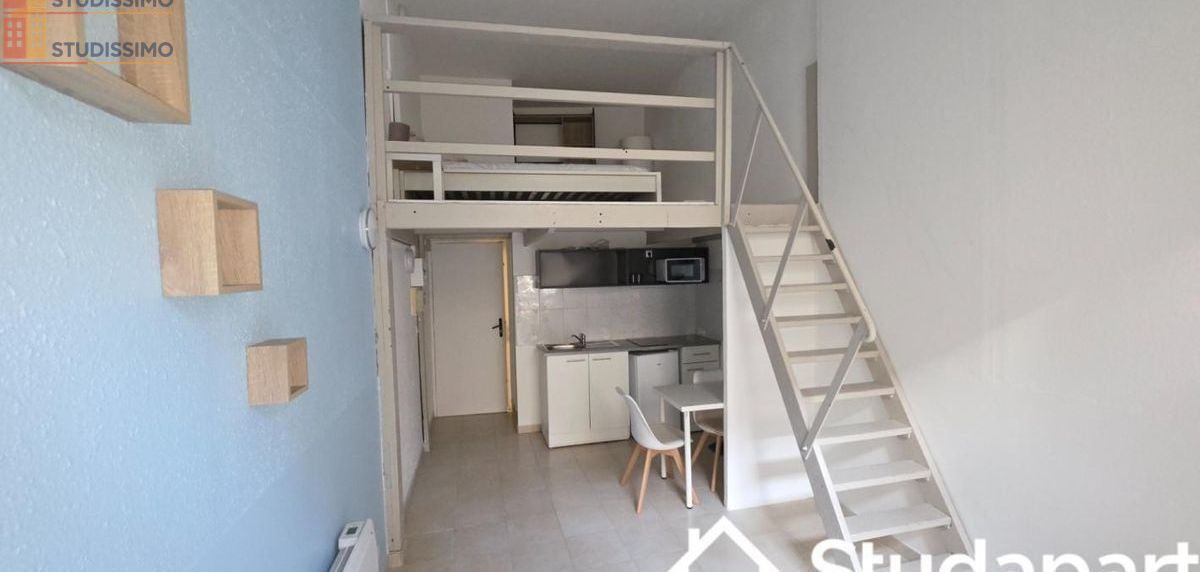 Studio meublé 31m² Metz - Lumineux, DPE C - Photo 4