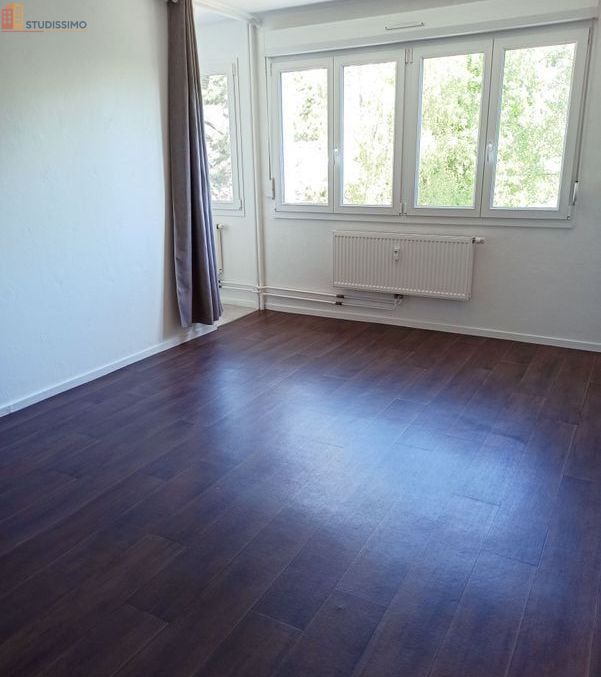 Studio 28m² Moulins-lès-Metz - Étage élevé, lumineux - Photo 5