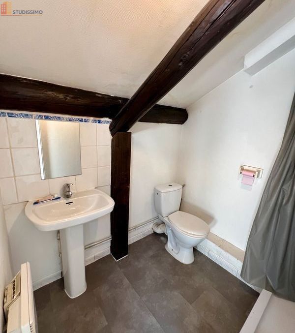 Studio 30m² Metz centre - Lumineux, sous les toits - Photo 1