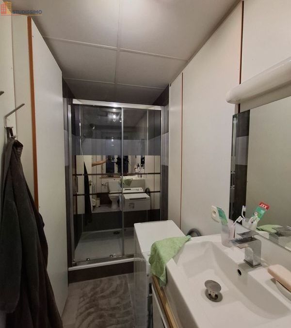Studio meublé 30m² Saint-Louis-lès-Bitche - Meublé, DPE C - Photo 5