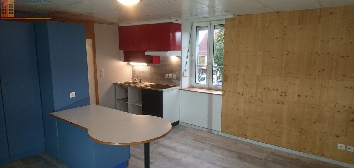 Studio meublé 30m² Saint-Louis-lès-Bitche - Meublé, DPE C - Photo 3