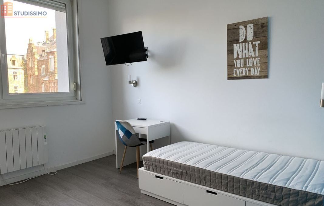 Studio meublé 23m² Sarreguemines - Étage 3, DPE C - Photo 10