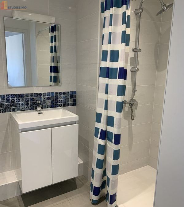 Studio meublé 23m² Sarreguemines - Étage 3, DPE C - Photo 9