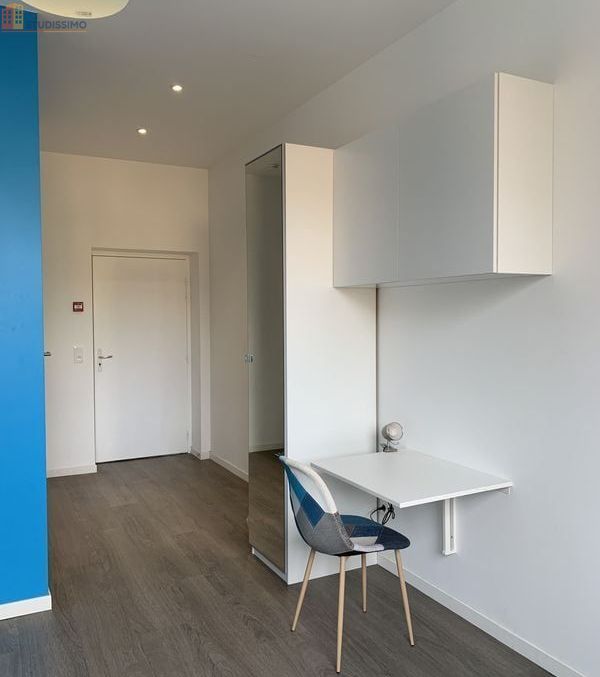 Studio meublé 23m² Sarreguemines - Étage 3, DPE C - Photo 6