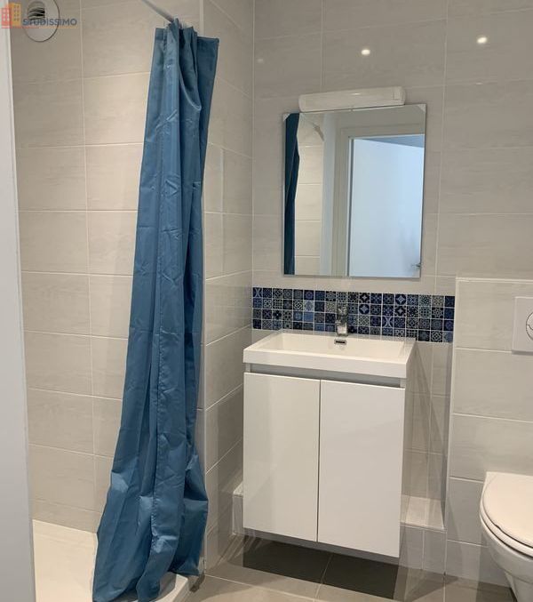 Studio 19m² Sarreguemines - Meublé, lumineux - Photo 10