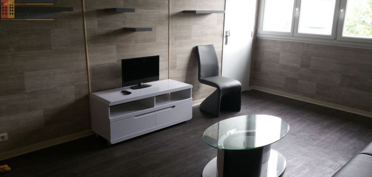 Studio meublé 28m² Metz 57070 - Grand, lumineux - Photo 5
