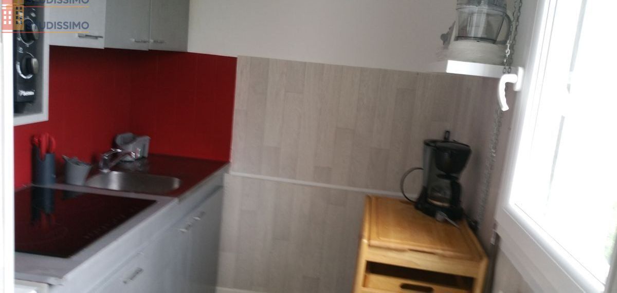 Studio meublé 28m² Metz 57070 - Grand, lumineux - Photo 3