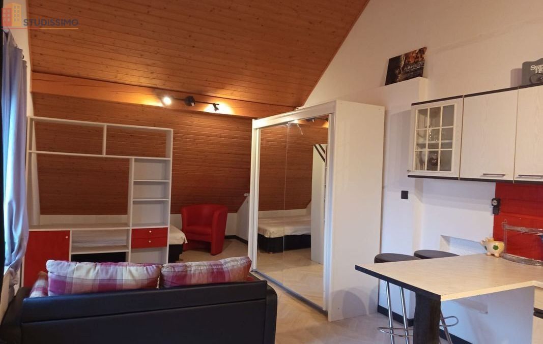 Studio meublé 35m² Willerwald - Meublé, DPE B - Photo 3
