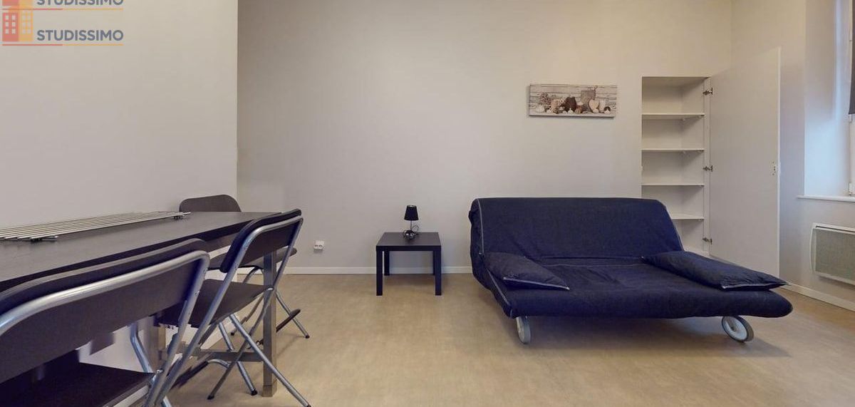 Studio 29m² Metz - Meublé, lumineux - Photo 4