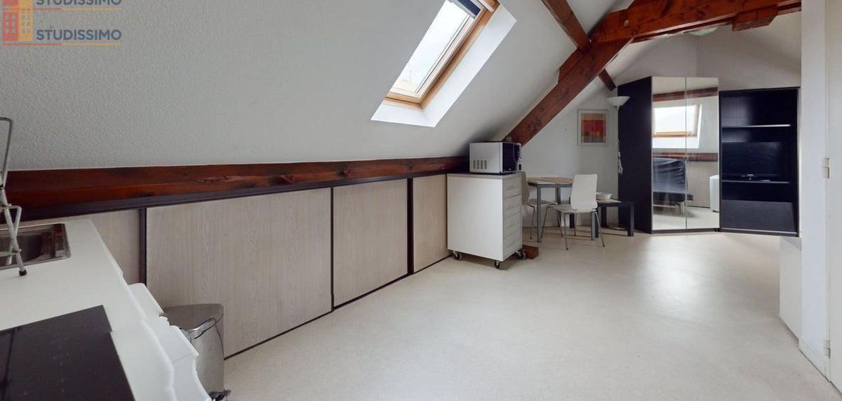 Studio 21m² Metz 57070 - Meublé, lumineux - Photo 4