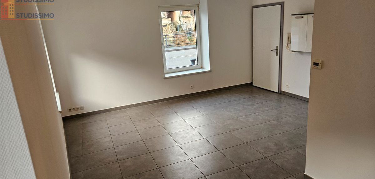 Studio 27m² Sarrebourg - Lumineux, proche commodités - Photo 2