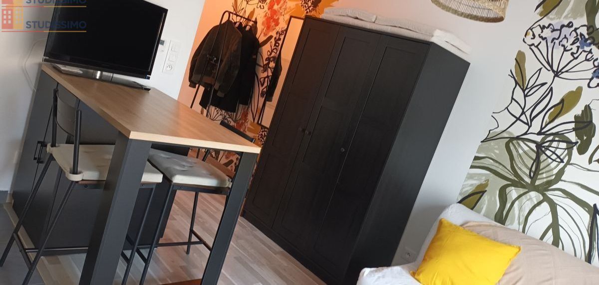 Studio meublé 21m² Metz centre - Terrasse, parking - Photo 2