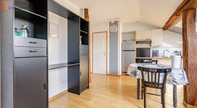 Studio meublé 30m² Vatimont 57580 - Meublé, 1 chambre - Photo 2