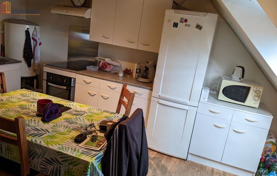 Studio 23m² Réding 57445 - Duplex, proche Sarrebourg - Photo 7