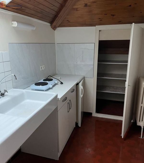 Studio 38m² Sarrebourg - Grand, quartier Hôpital Roseraie - Photo 2