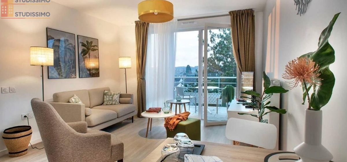 Studio meublé 45m² Sarreguemines - Lumineux - Photo 12