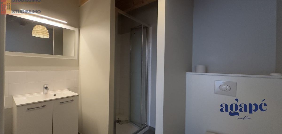 Studio meublé 28m² Nevers - Lumineux - Photo 9