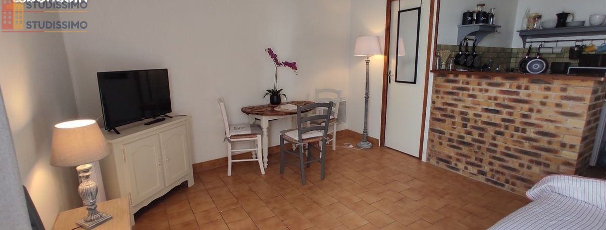 Studio meublé 20m² Pouilly-sur-Loire - Vue sur la Loire - Photo 7