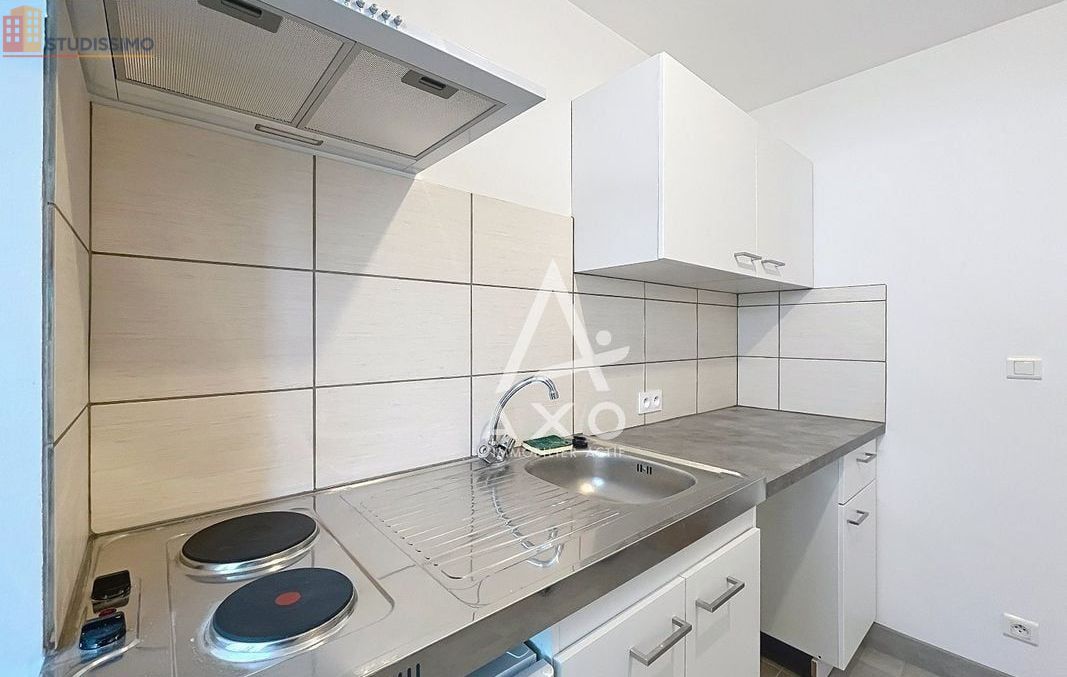 Studio 31m² Neuvy-sur-Loire - lumineux - Photo 11