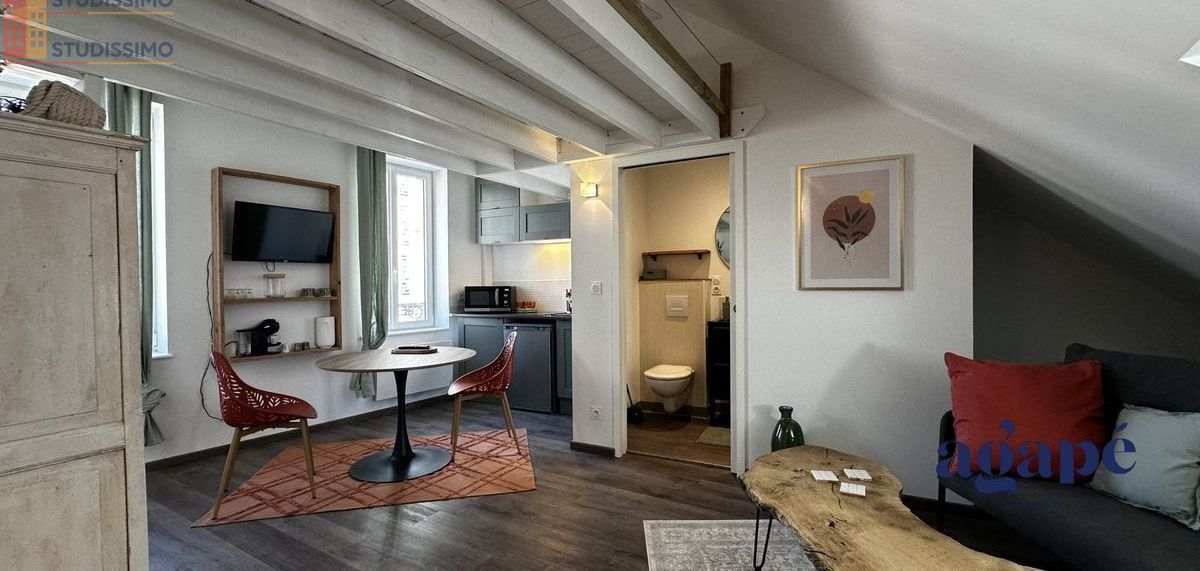 Studio meublé 34m² Nevers 58000 - Meublé, DPE D - Photo 16