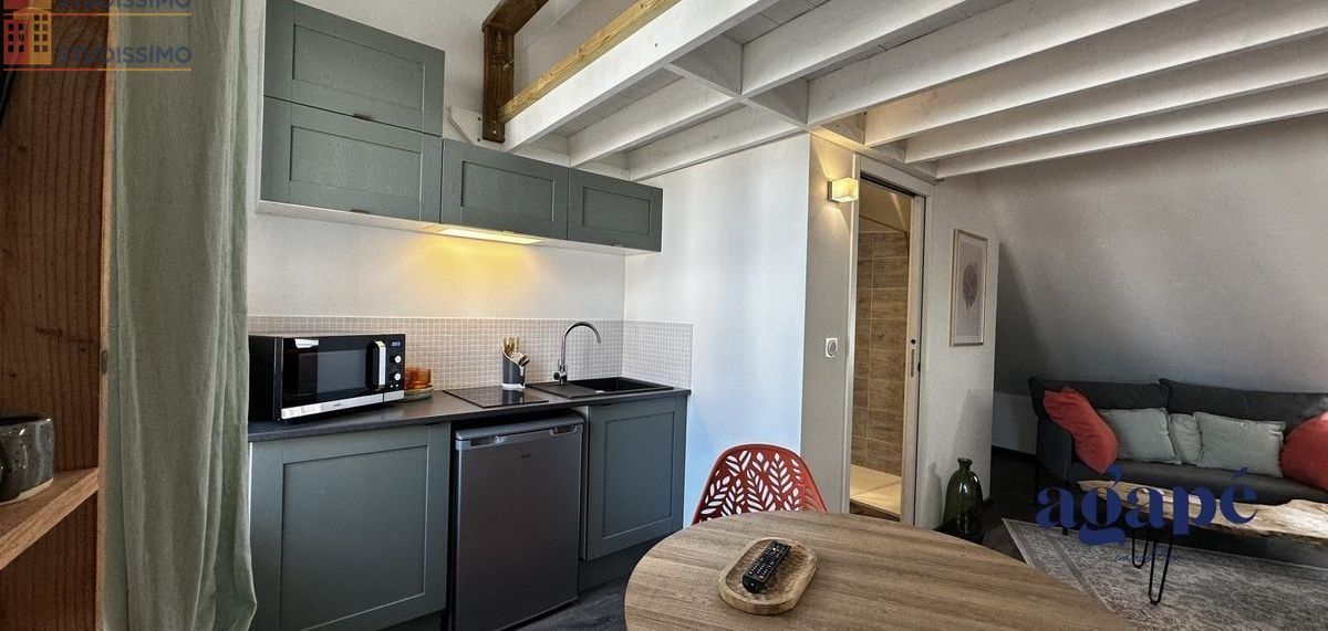 Studio meublé 34m² Nevers 58000 - Meublé, DPE D - Photo 9